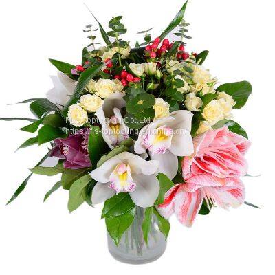 Wholesale Home Garden Desk Decoration Colorful Round Shape Small Flower Plant Pots Indoor Pots photo-2