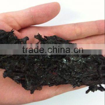 Chinese Seafood Dried Seaweed Laver Nori, Agar-Agar for Sale photo-3
