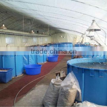 Tarpaulin Waterproof Flexible fish ponds , folding fish tanks