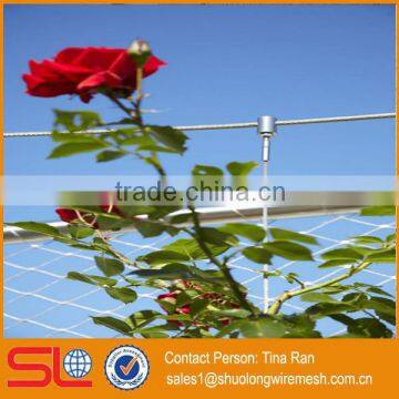 2mmx50mm Stainless Steel Rope Mesh Green Wall photo-2