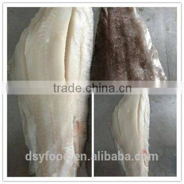 high quality southern flounder fillet