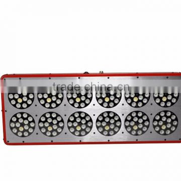 Good selling red and blue full spectrum hydroponic grow light greenhouse led grow lights Full Spectrum for Green house cob type