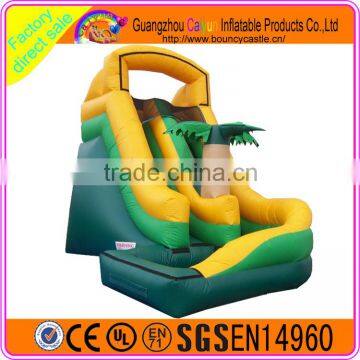 2016 Pop-selling Custom Made Inflatable Plastic Water Slide photo-3