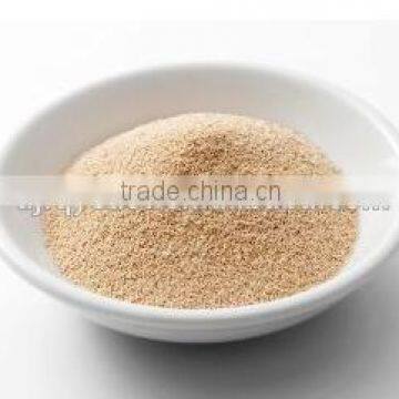 15gm Low Sugar Active Instant Dry Yeast for Bread Making photo-5
