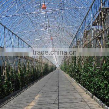 agricultural greenhouses with high quality