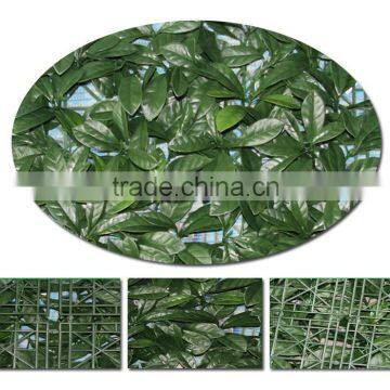 MO-0416-01 Leading Antique Furniture Round Table With Glass Top photo-3