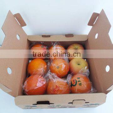 Corrugated Paper Box for Fresh Fruit Packaging on Sale photo-3