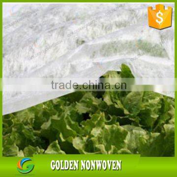 17~70g/m2 Biodegradable Weed Control PP Non Woven Weed Mat