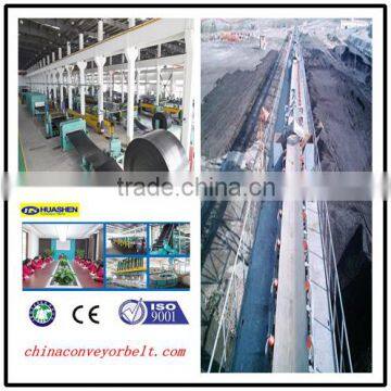 For Low Temperature Transport Cold Resistant Belt Conveyor