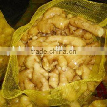 Varieties of Ginger for Sale Ginger Price