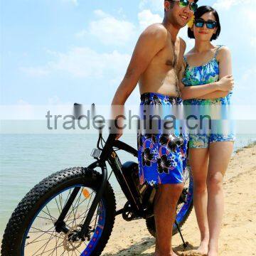 Fat Bike Electric Front Wheel Bike Conversion Kit photo-4