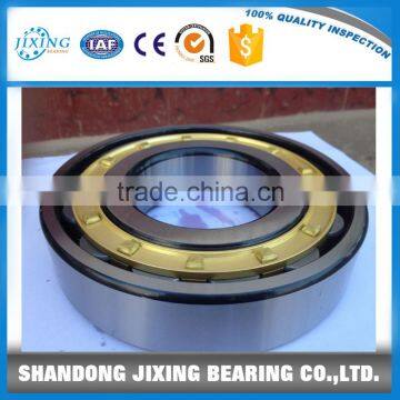 Cylindrical Roller Bearing N318EM, roller bearing N318