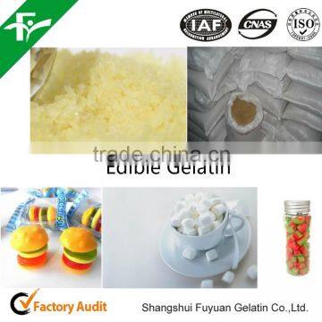 CAS#9000-70-8 Gelatin Manufacturer photo-3