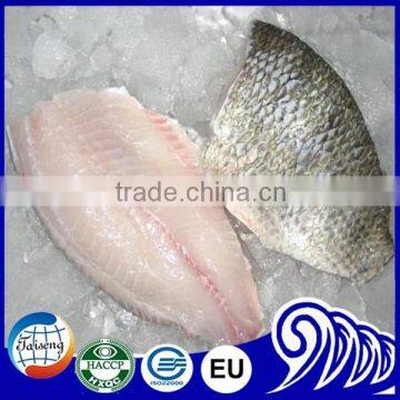 Bulk Tilapia Fillet With High Quality photo-6