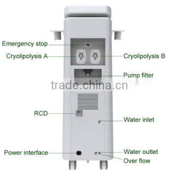 Skin Lifting Double Handle Work At The Same Increasing Muscle Tone Time Buy Cryolipolysis Machine For Home Use photo-4