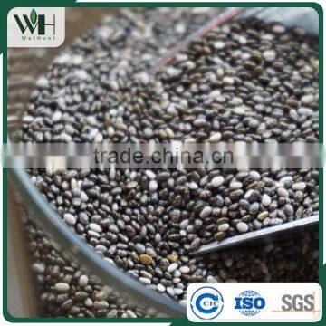 Latin America Organic Mixed Chia Seeeds photo-4