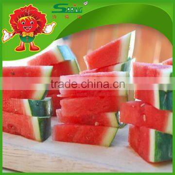 Cryogenic Transportation Wholesale Watermelon Fresh Watermelon on Sale photo-3