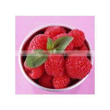 Frozen Fruit photo-2