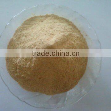 HIGH QUALITY DRIED GARLIC POWDER