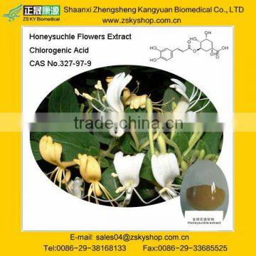 HoneySuchle Flowers Extract, Chlorogenic Acid 10%-98%, GMP manufacturer