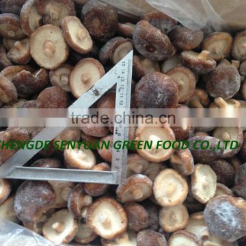 Frozen Shiitake mushroom