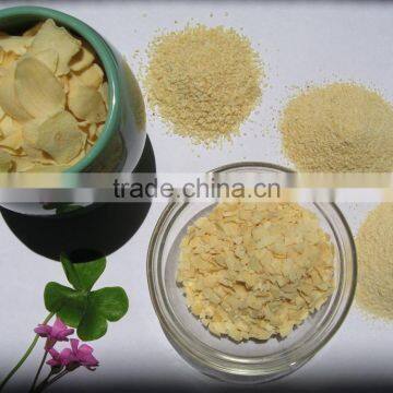 2013 New Crop Garlic powder