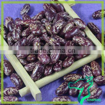 Heilongjiang Origin Wholesale Purple Speckled Kidney Beans