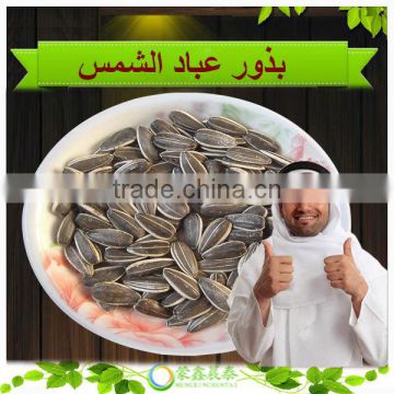 Large Quantity Best Quality Round/Long Type Sunflower Seeds