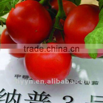 Napu No.3 Determinate Tomato Seeds