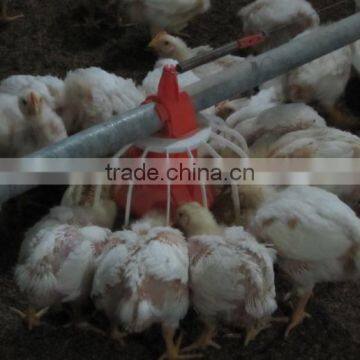 chicken farming broiler automatic feeder