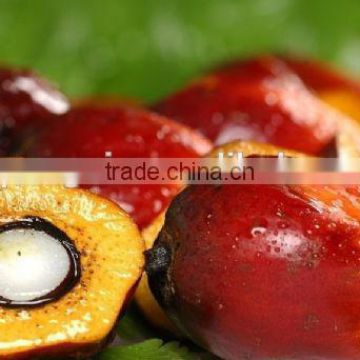 2.5TPH-16TPH palm oil expeller