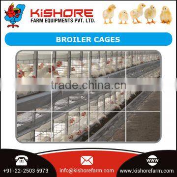 Automatic Pan Feeding System
