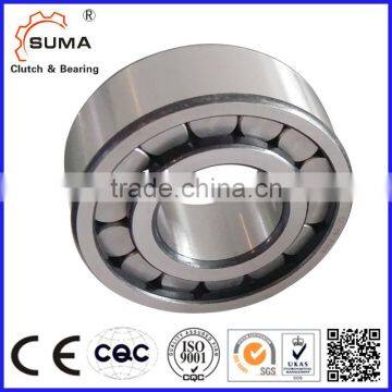 Single Row Full Complement Cylindrical Roller Bearing (SL18 SL19) photo-4