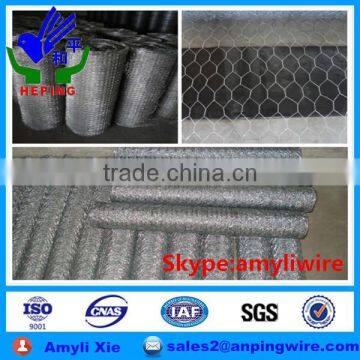 electro and hot dipped galvanized hexagonal wire mesh and netting manufacturer