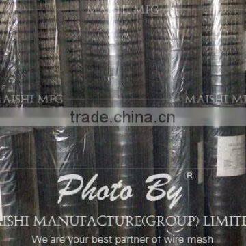 Galvanzied Welded Wire Mesh photo-2