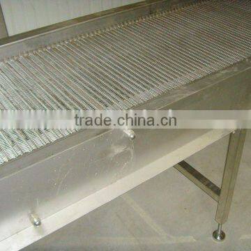 variable speed stainless steel conveyor