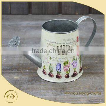 Spring Home & Garden Decor Floral and Watering Can Special for Flower Plant pot