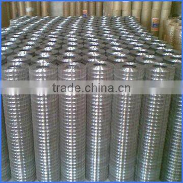 Galvanized Welded Wire Mesh From Guangzhou Supllier photo-2