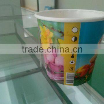 Standard Take Away Flower Paper Pot