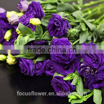 2017 New Arrival Artificial Flower Eustoma Cut Fresh Flowers For Sale