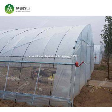 Low cost widely used Agricultural Film single Span Greenhouse