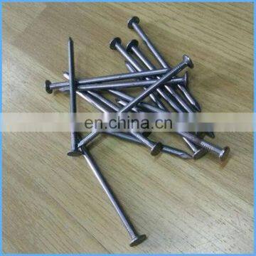 Common Wire Nails /Common Nails With Good Quality