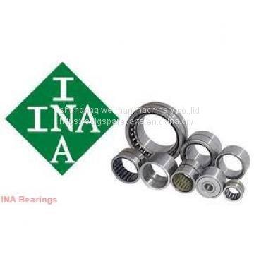 INA Bearing