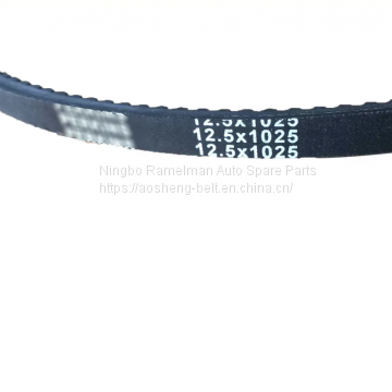 Auto spare parts fan belt vee belt OEM 9091602113/1192001M01/AVX13X800/MB553430 COGGED V BELT Ramelman belt