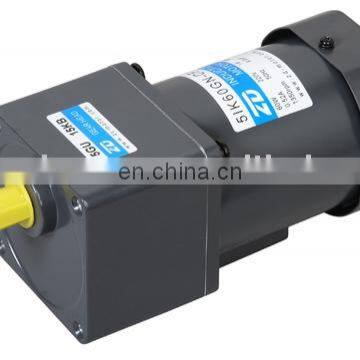 60 watt AC Induction Gear Motor