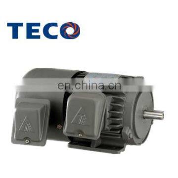 TECO brand 3-Phase 55kw 5~100HZ frequency converter Duty low voltage Induction Motor