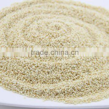 New crop white sesame