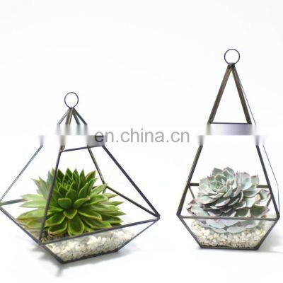 new fancy modern design terrarium