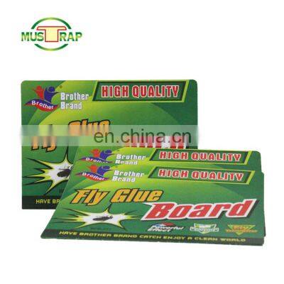 Fly Glue Paper Fly Trap Venus Fly Trap photo-4