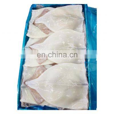 Hot sale frozen pacific squid fish fillet block